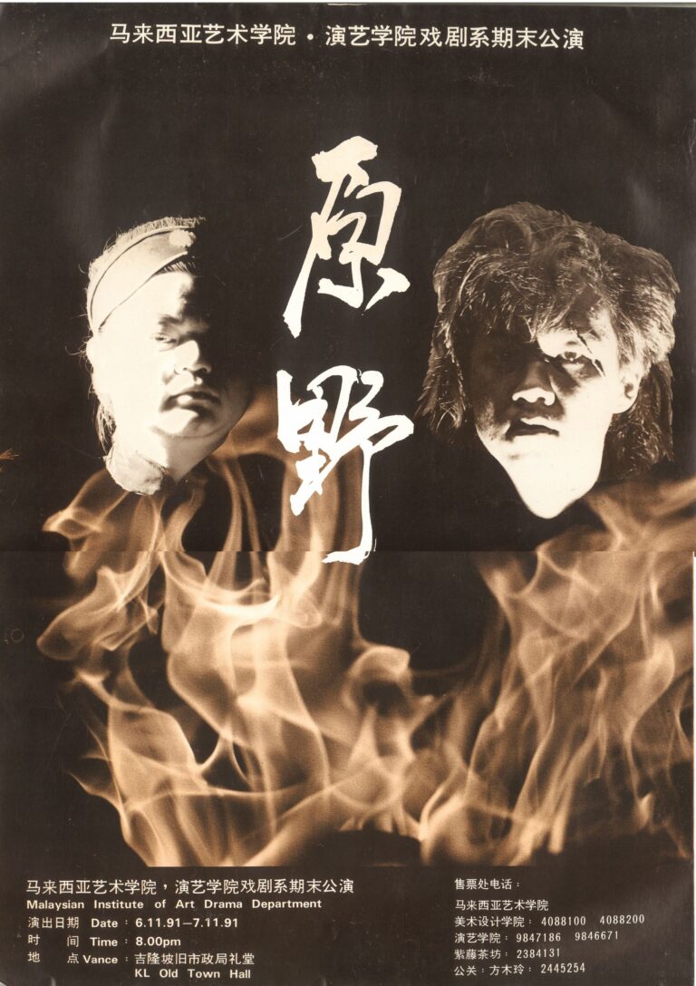 1991 The Wilderness Poster