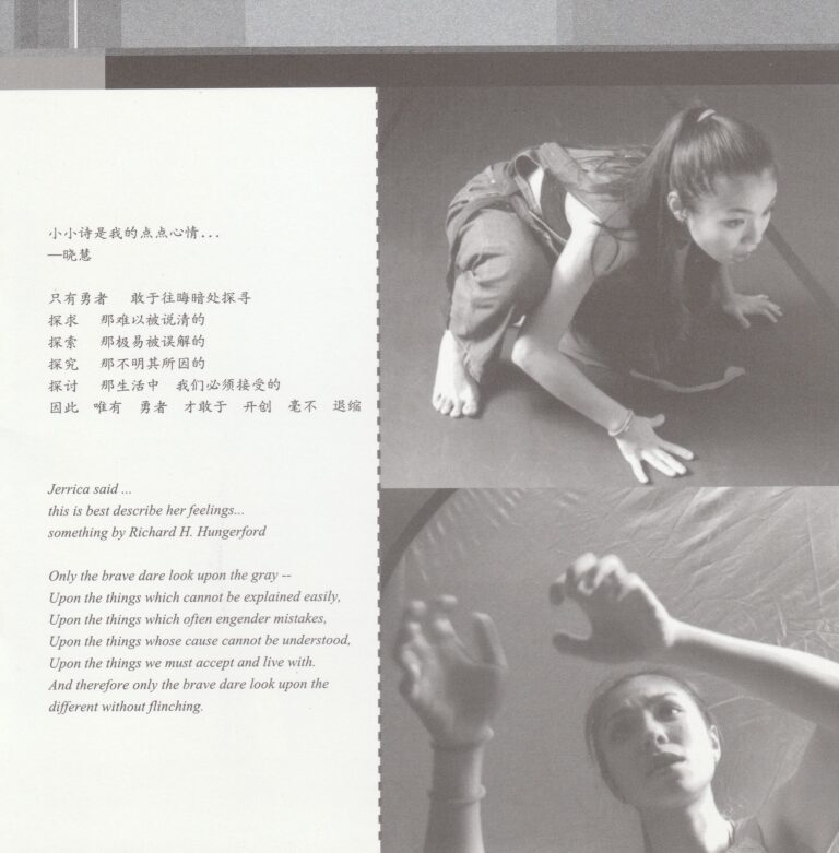 2001 Dan Dan Mini Theatre Festival Program Overlapped Synopsis