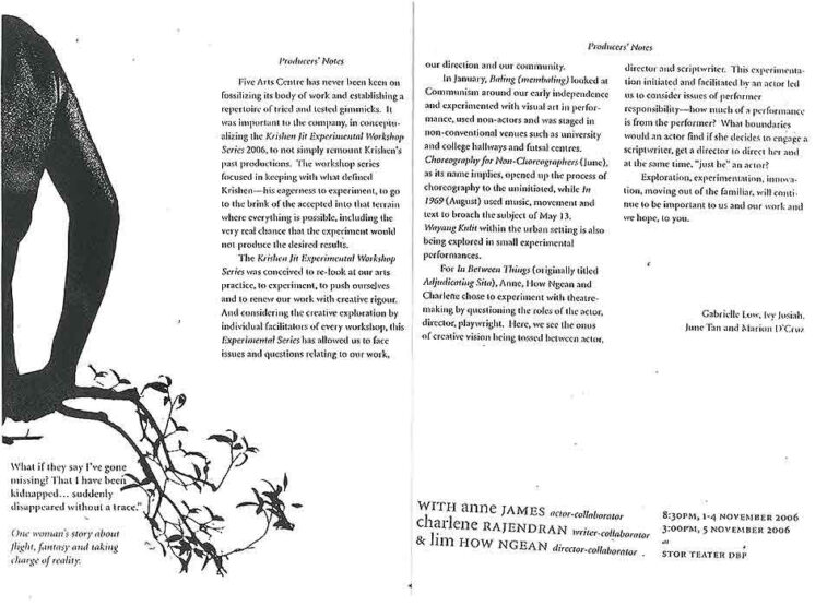 2006, In Between Things: Producer's Notes