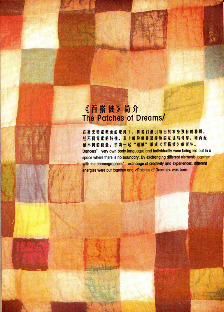 2007 Patches Of Dreams Synopsis
