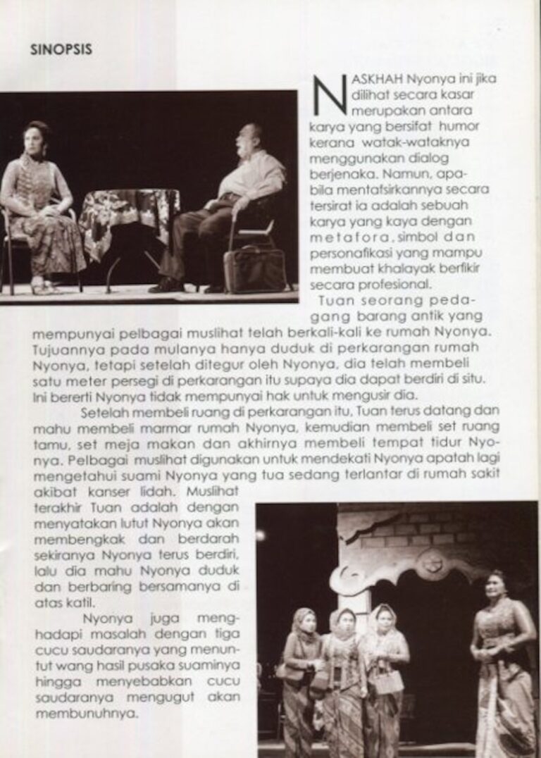 2008 Nyonya synopsis