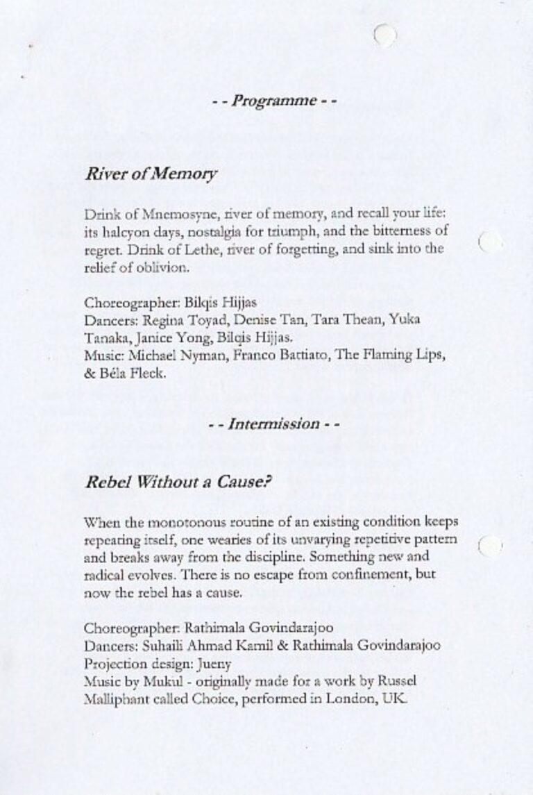 2008 Remember/Rebel Synopsis Performance