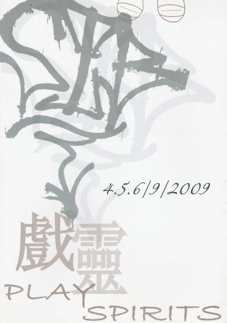 2009 Play Spirit Flyer 01