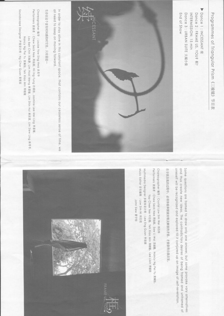 2010 Triangular Prism Synopsis