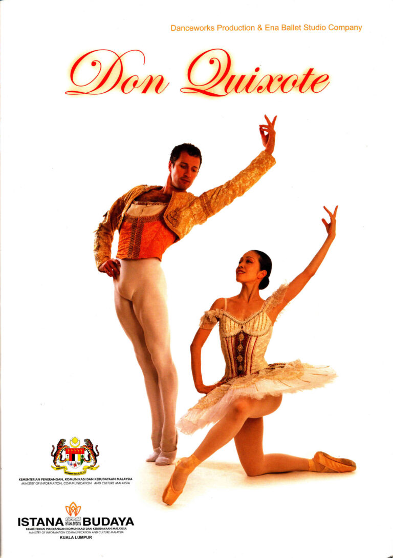 2011 Don Quixote Cover
