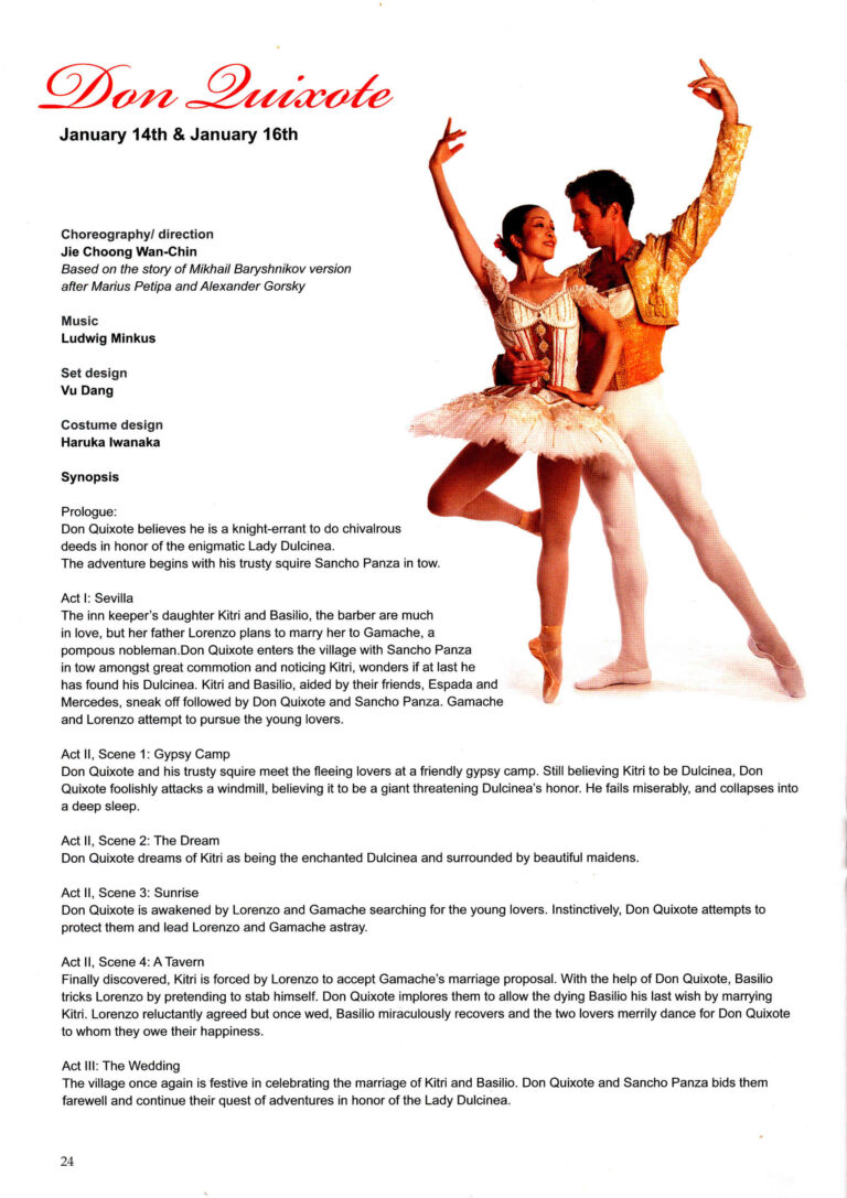 2011 Don Quixote Synopsis