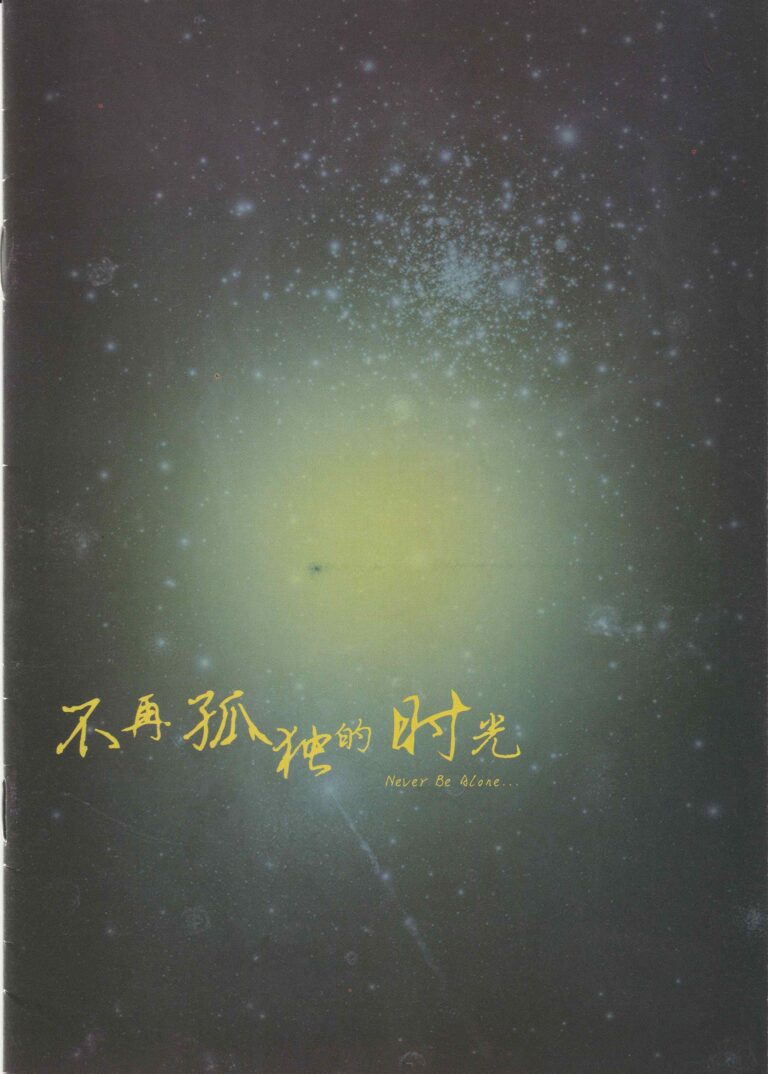 2013 Never Be Alone Flyer 02