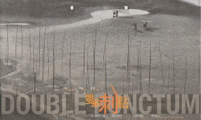 2013 Double Punctum Cover