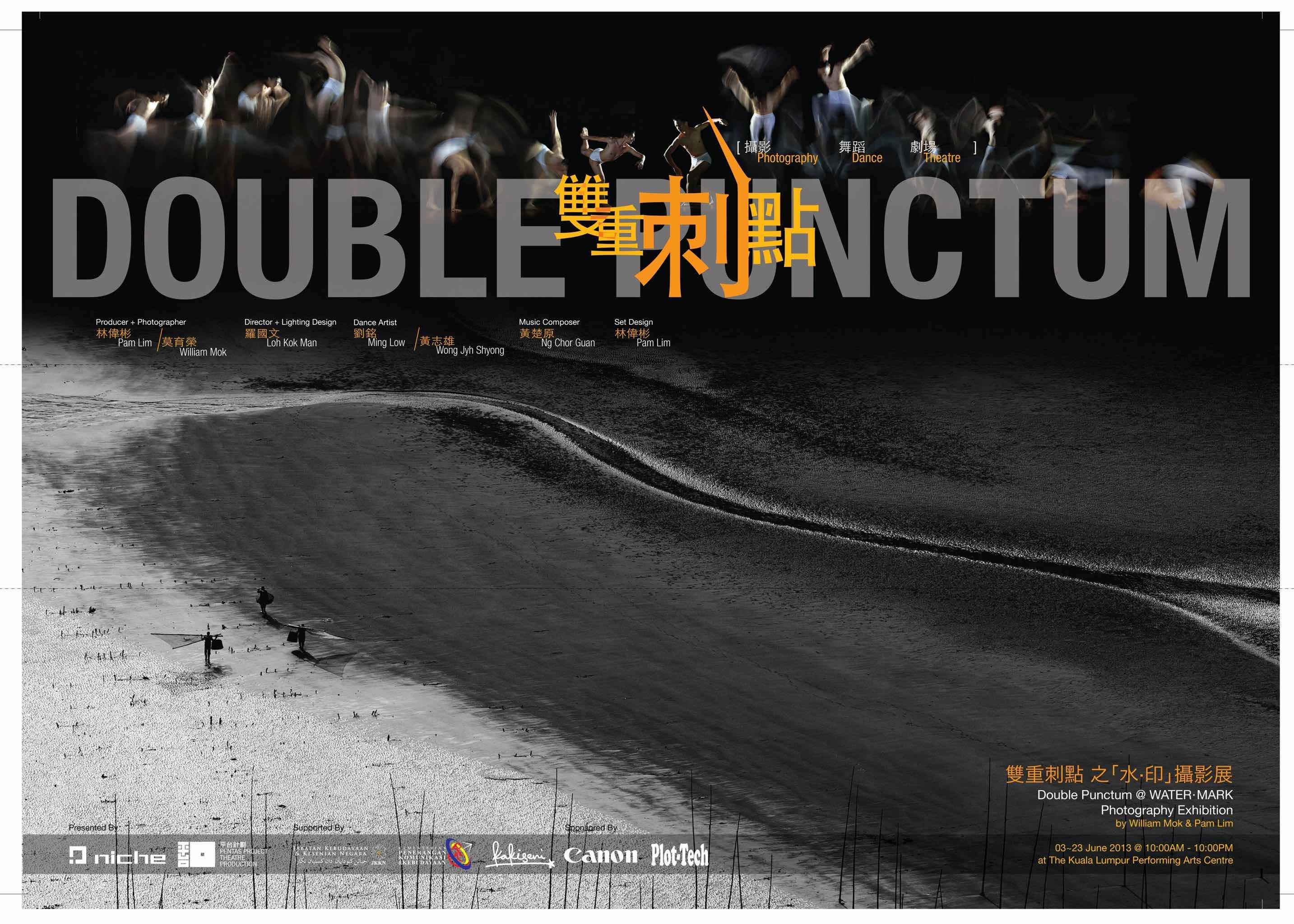 2013 Double Punctum Program Flyer 01