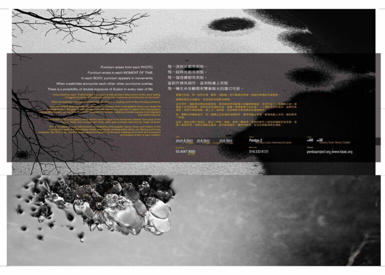 2013 Double Punctum Program Flyer 02