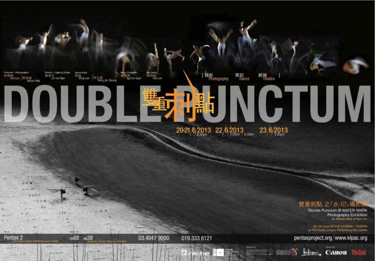 2013 Double Punctum Program Poster