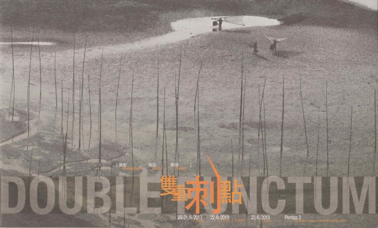 2013 Double Punctum Program Cover