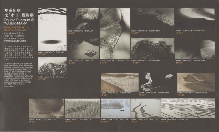 2013 Double Punctum Program Photography