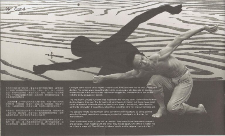 2013 Double Punctum Program Synopsis 01