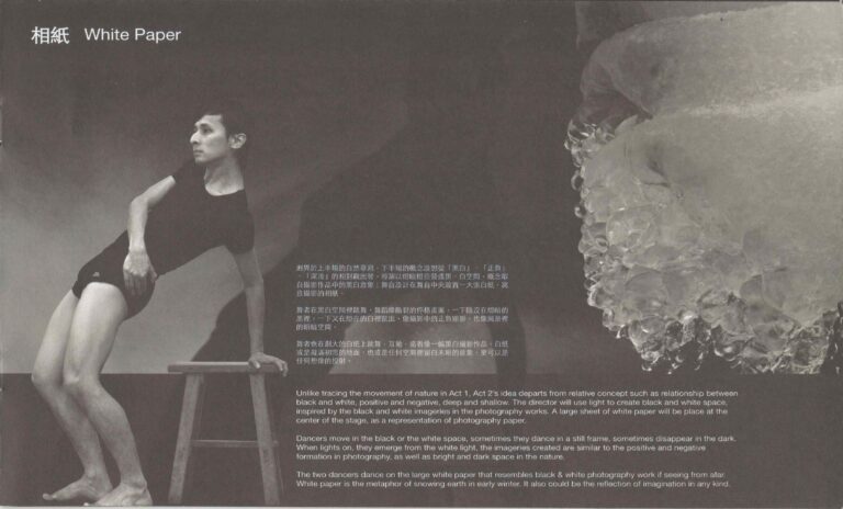 2013 Double Punctum Program Synopsis 02