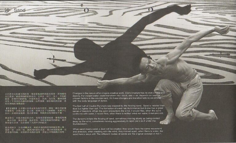 2013 Double Punctum Synopsis 1