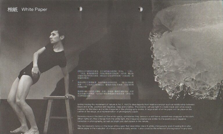 2013 Double Punctum Synopsis 2