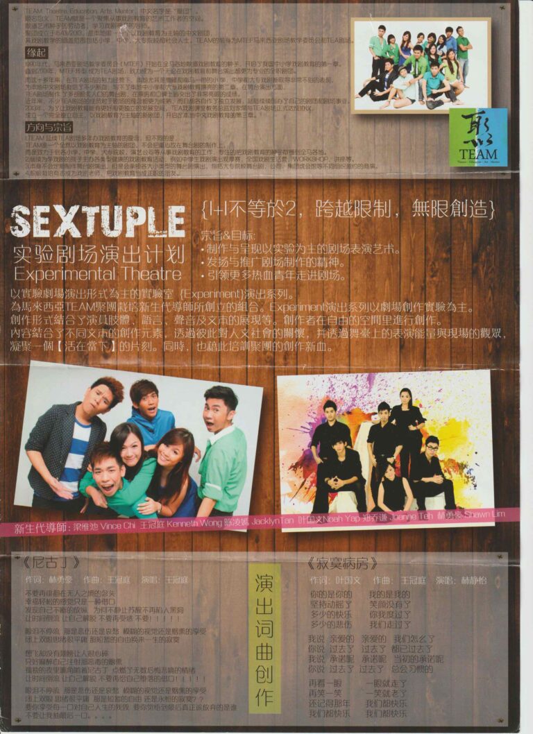 2013 Sextuple Flyer 02
