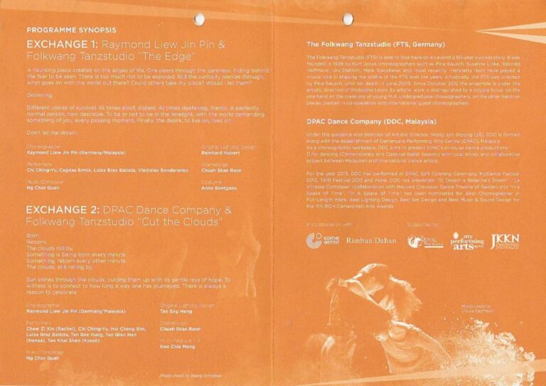 2014 DMotion Programme D dNext Choreographer Synopsis
