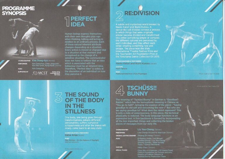 2015 DMotion Programme A International Platform Synopsis