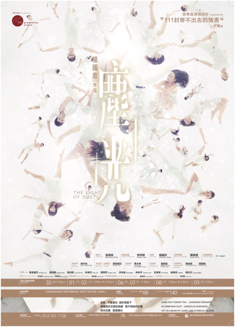 2017 The Light Of Dust Poster