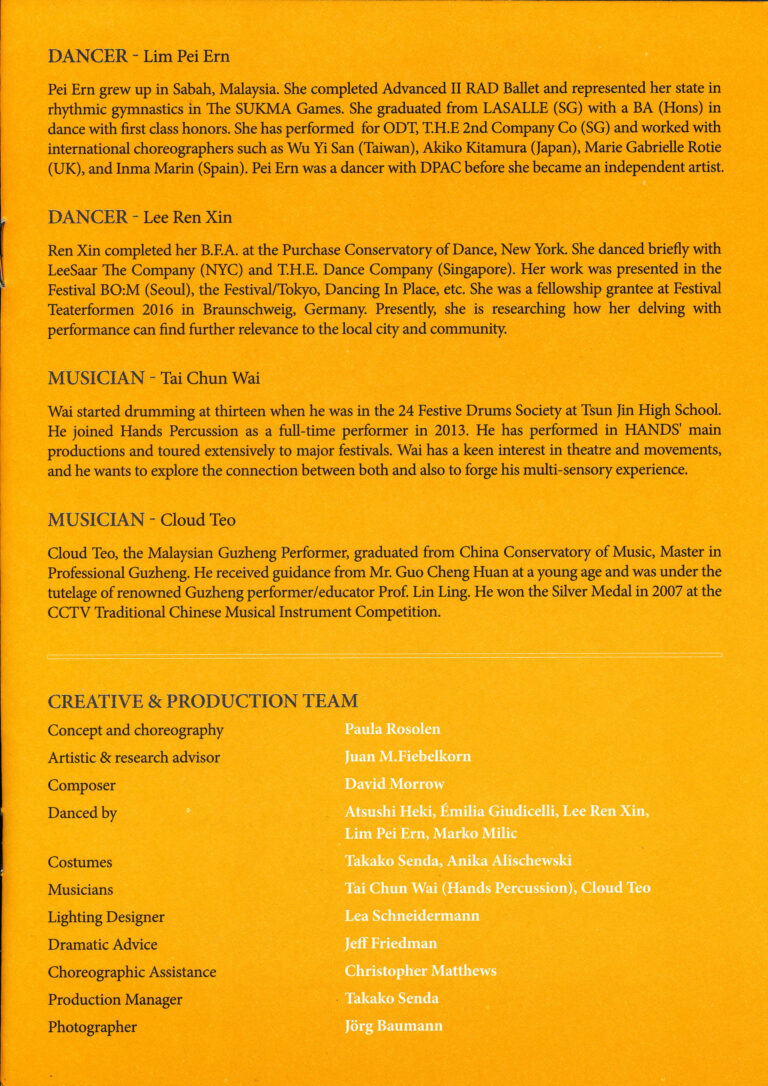 2017 Puppets Production
