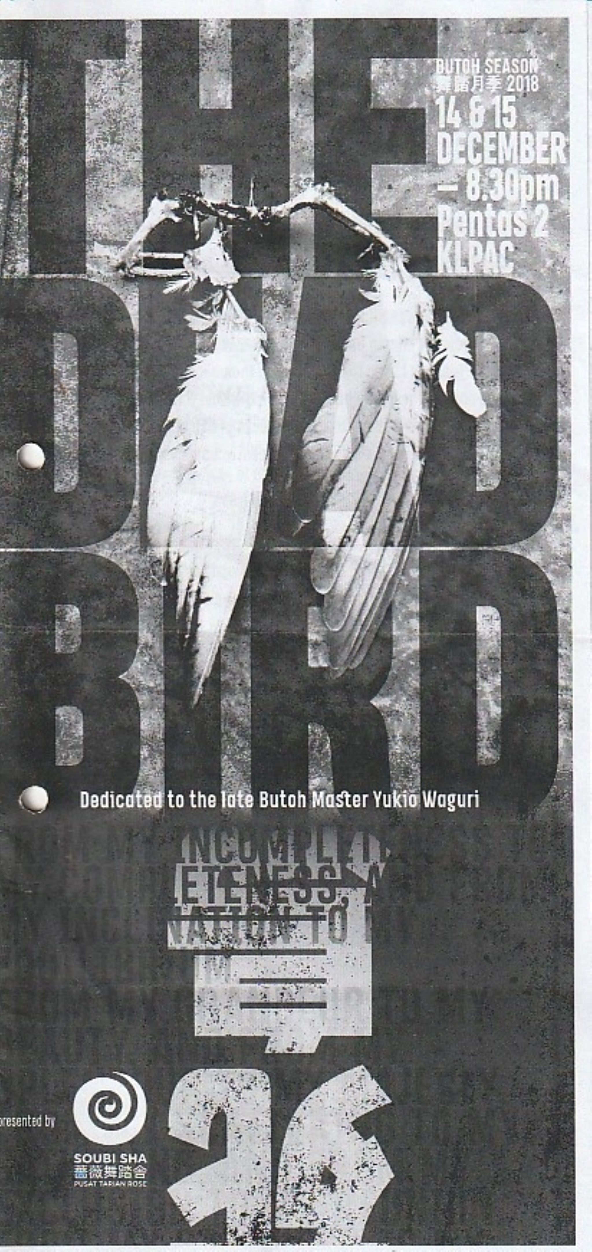 2018 The Dead Bird Cover