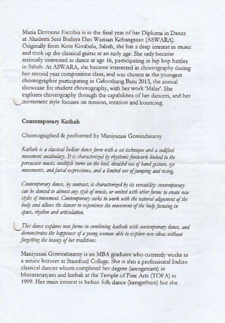 2013 DanceBox Synopsis3